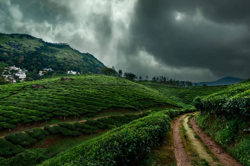 15 Best Monsoon Tourist Places in India for a Rainy Getaway